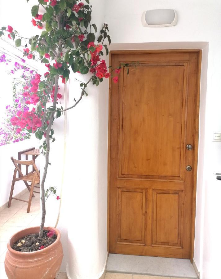 Апартаменты Casa Athena Naxos Naxos City Экстерьер фото